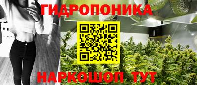 гидропоника Канаш